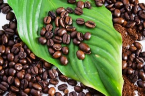 Fotolia 4229764 Subscription XL copy 300x199 Certified Organic Coffee   Why Does it Matter?